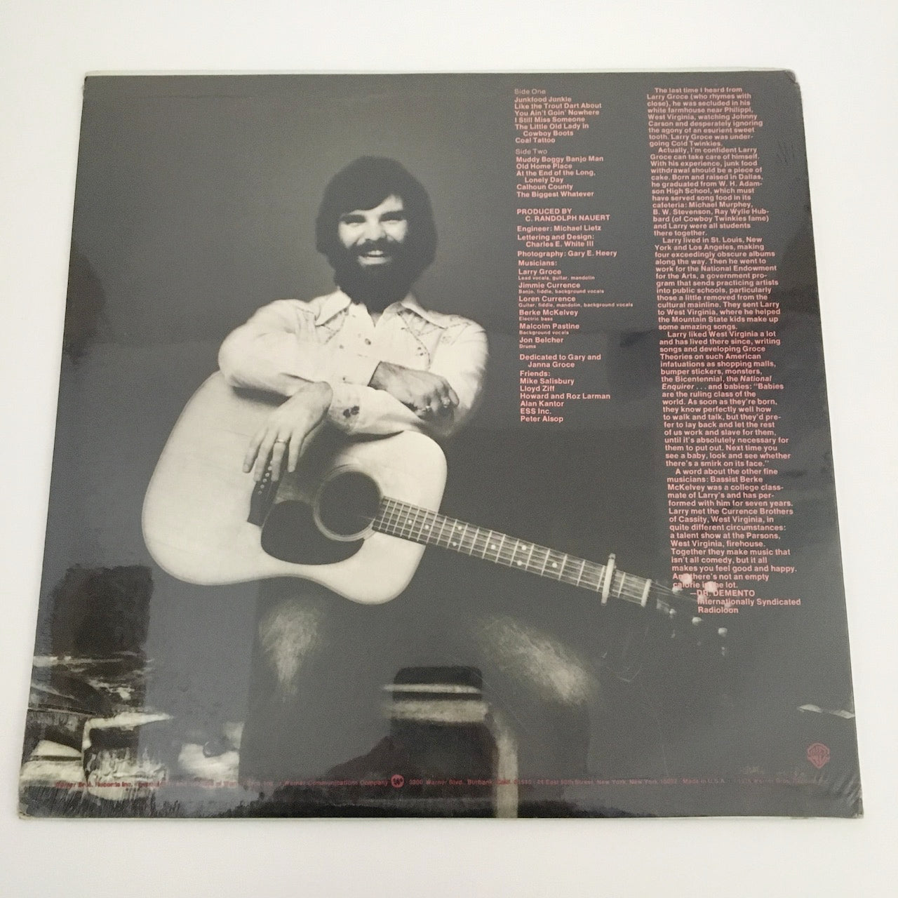 LP/ LARRY GROCE / JUNKFOOD JUNKIE / US盤 シールド品 WARNER BROS. BS2933