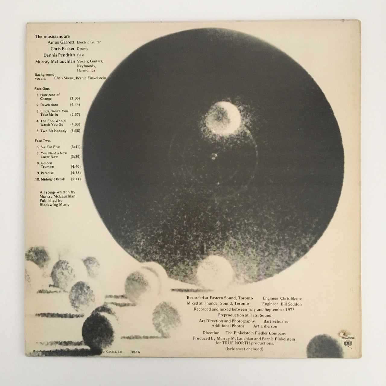 LP/ MURRAY MCLAUCHLAN / DAY TO DAY DUST / カナダ盤 TRUE NORTH TN14