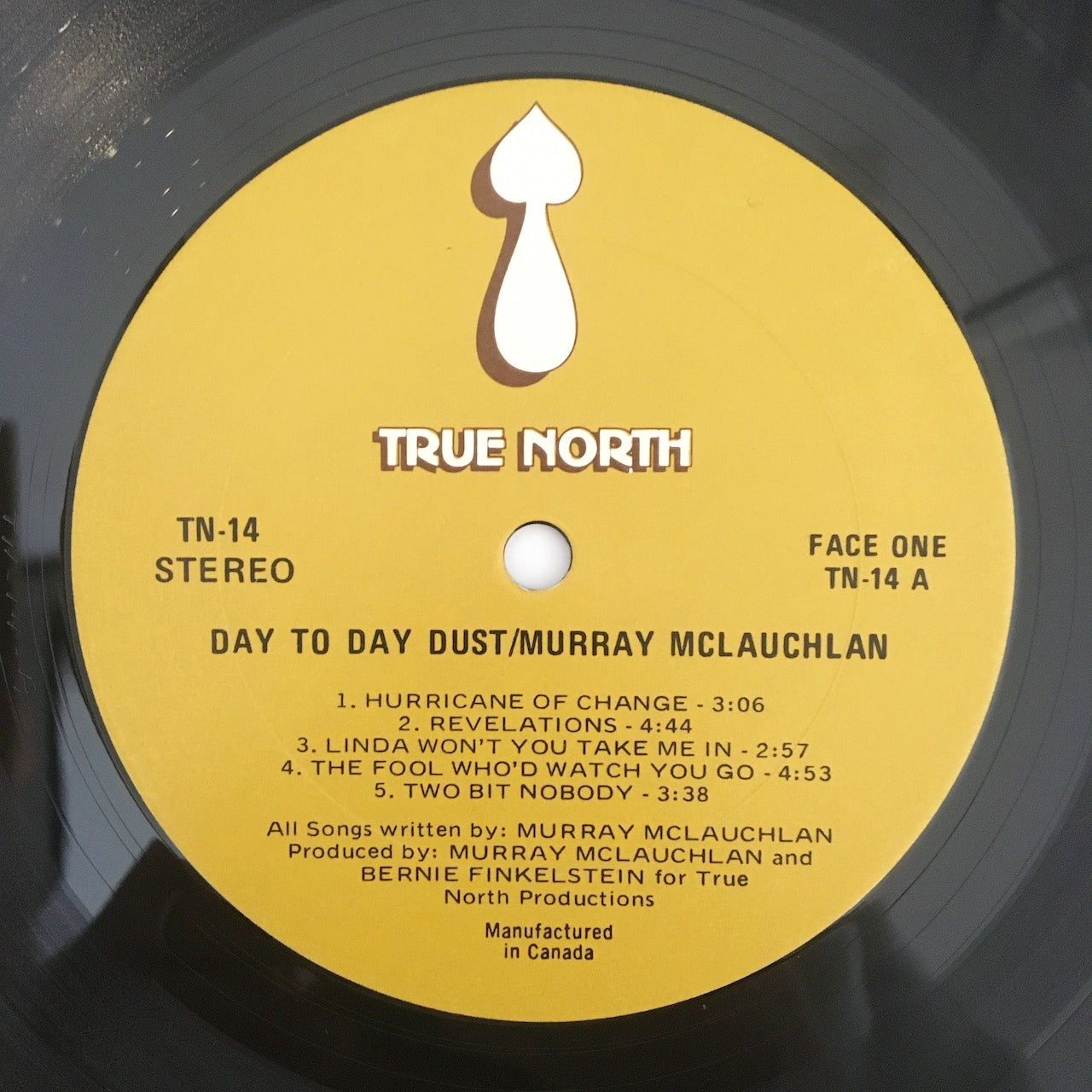 LP/ MURRAY MCLAUCHLAN / DAY TO DAY DUST / カナダ盤 TRUE NORTH TN14
