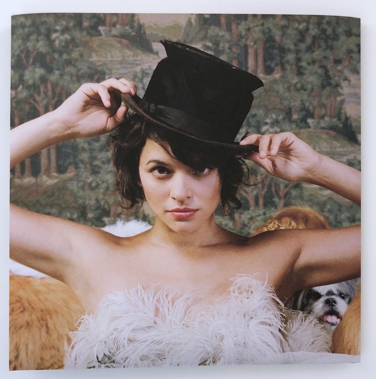 LP/ NORAH JONES / THE FALL / ノラ・ジョーンズ / US盤 200g 重量盤 ポスター・ポストカード・CS BLUE NOTE APP045