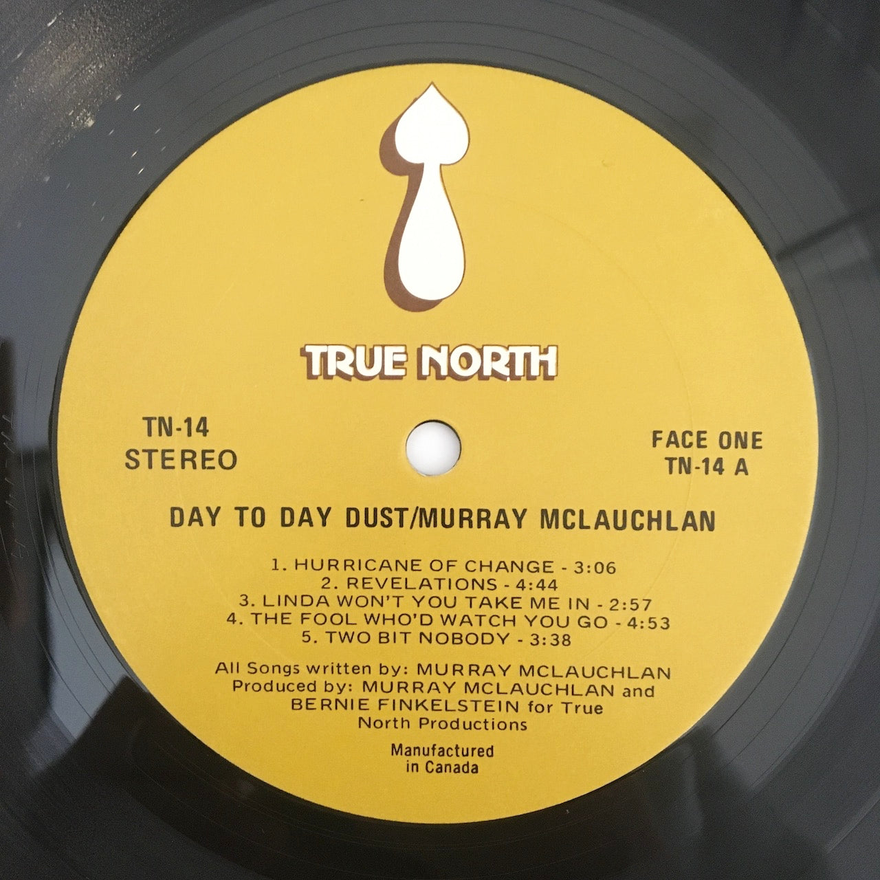 LP/ MURRAY MCLAUCHLAN / DAY TO DAY DUST / カナダ盤 インナー・インサート付き TRUE NORTH  TN14