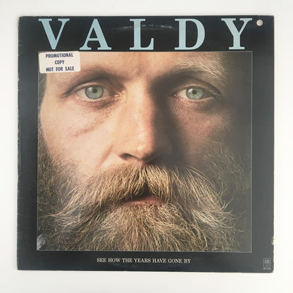 LP/ VALDY / SEE HOW THE YEARS HAVE GONE BY / US盤 プロモ A&M SP4538