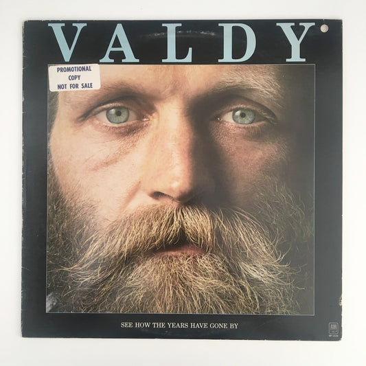 LP/ VALDY / SEE HOW THE YEARS HAVE GONE BY / US盤 プロモ A&M SP4538